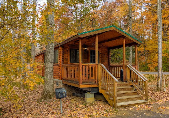 Wilderness Presidential Resort 9