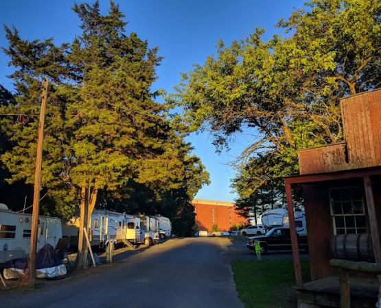 Hillwood Camping Park