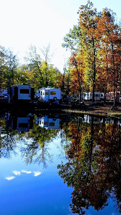 Hillwood Camping Park 6