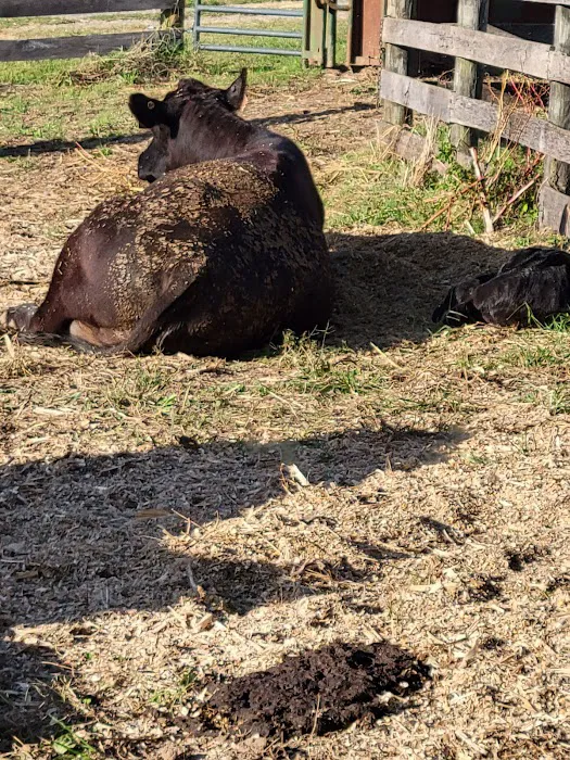 Greenville Farm Family Campground, Inc. 6