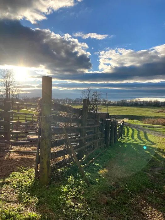 Greenville Farm Family Campground, Inc. 0