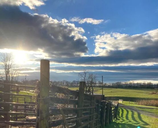 Greenville Farm Family Campground, Inc.