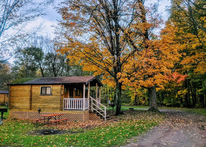 Yogi Bear's Jellystone Park at Mexico, NY 3