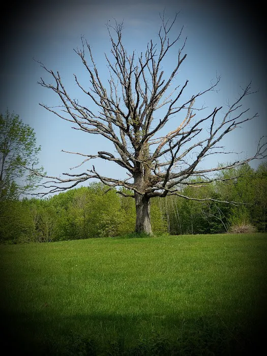 Chedmardo Campsite 2