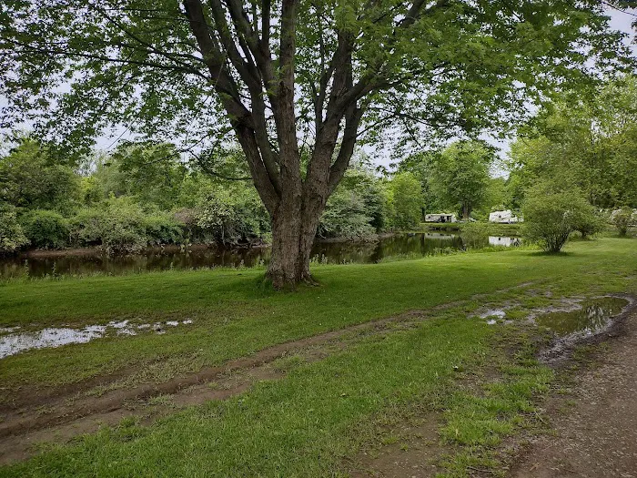 Bears Sleepy Hollow Campground 5