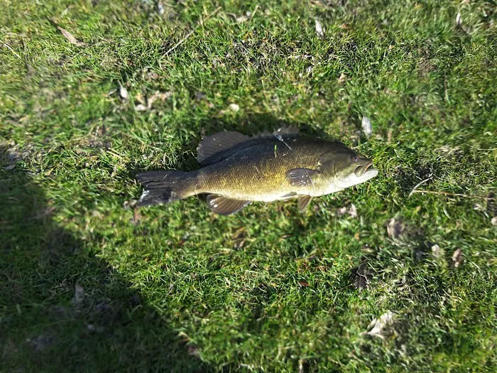 Bears Sleepy Hollow Campground 4