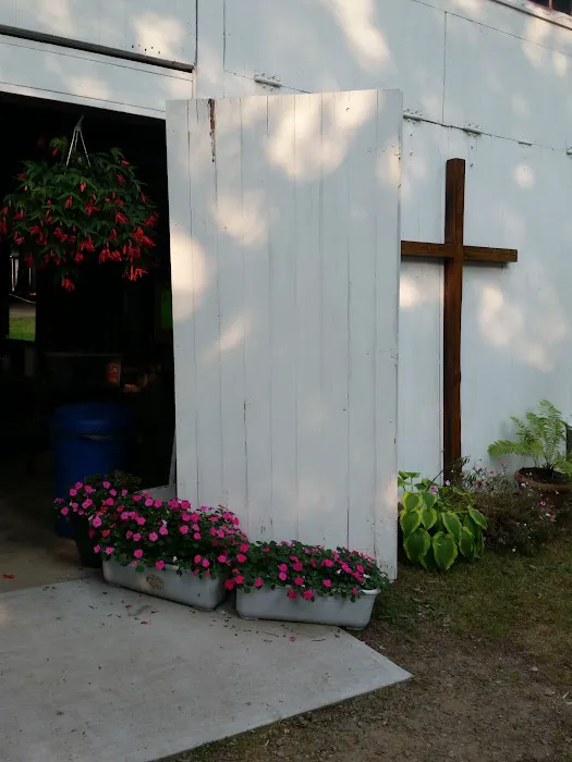 Dempster Grove Camp Ground 4