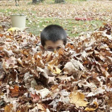 Dempster Grove Camp Ground 3