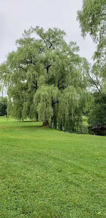 Cheerful Valley Campground 4