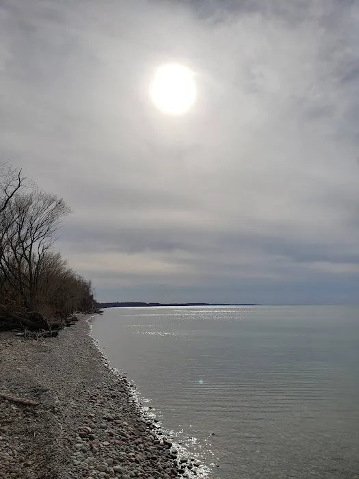 Holiday Harbor RV Park 8