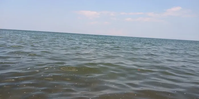 White Birch Campground 5