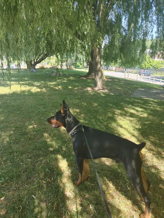 White Birch Campground 0