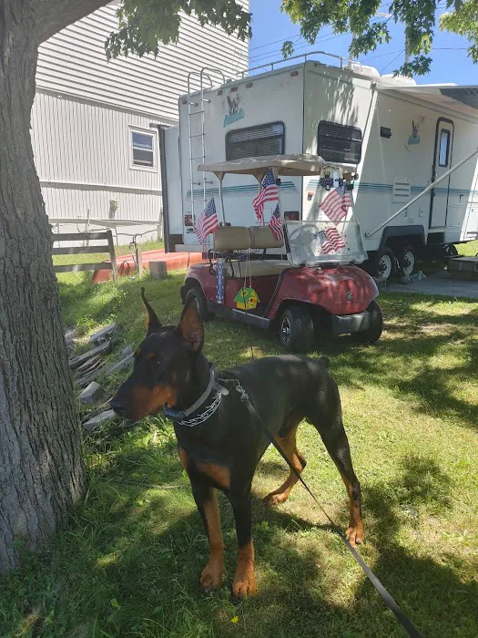 White Birch Campground 6