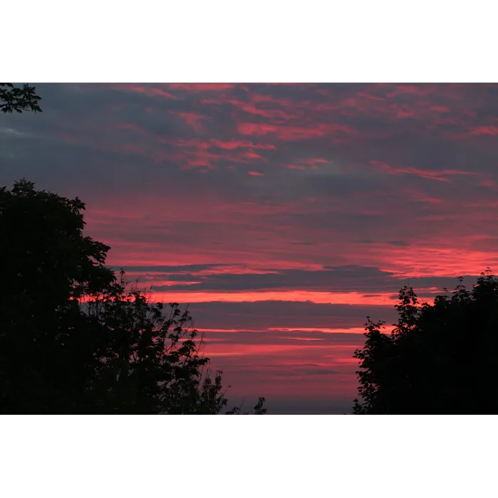 White Birch Campground 8