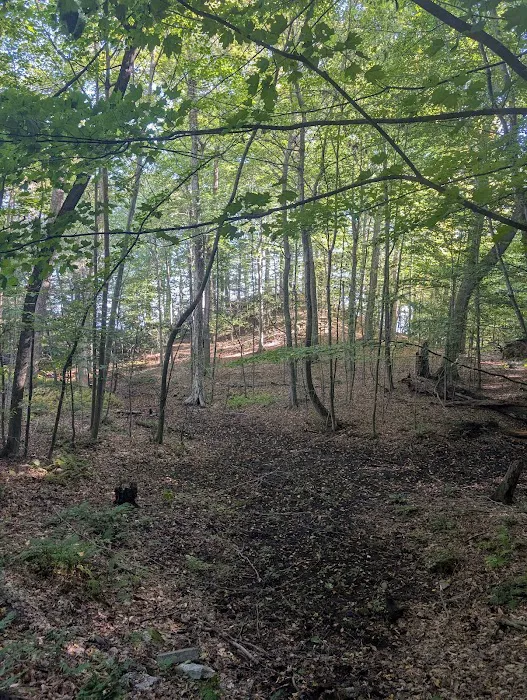 Former Beachwood Girl Scout Camp 8