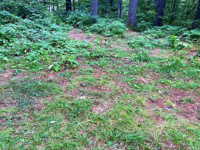 Schroon River Campsites Inc 6