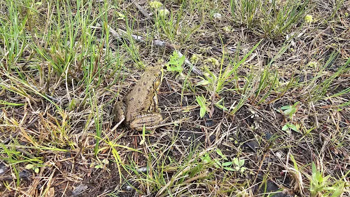 Smoke Rise Campground & Cabins 7