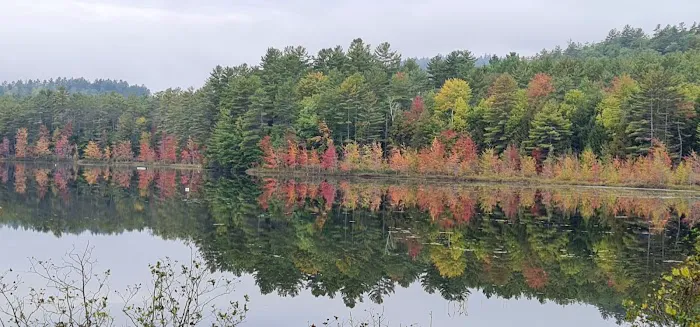 Smoke Rise Campground & Cabins 6