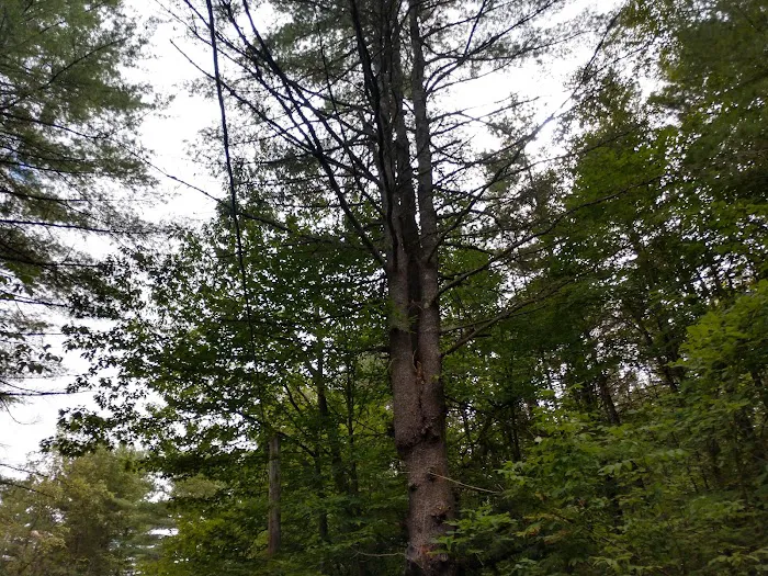 Smoke Rise Campground & Cabins 4