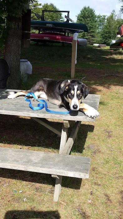 Wakonda Family Campground 9