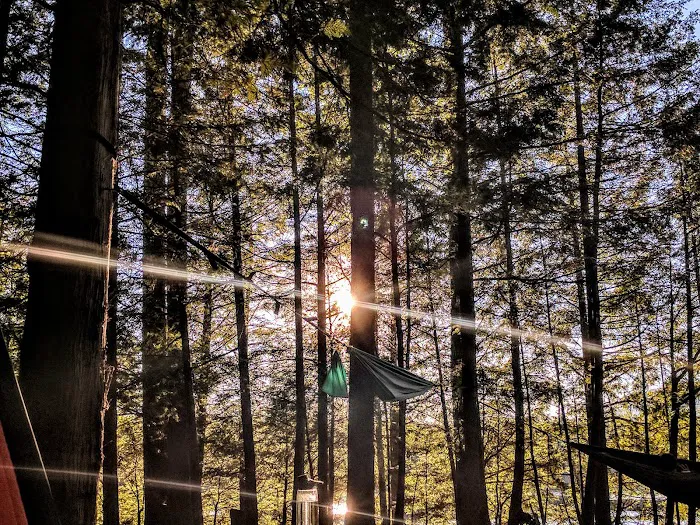 Word of Life Pines 7