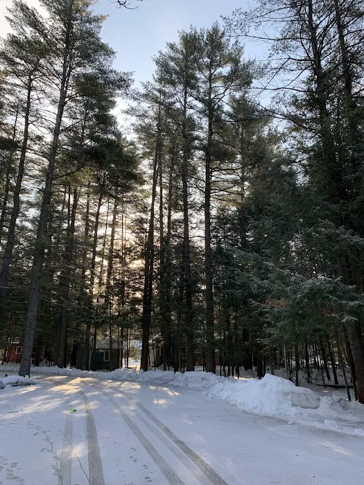 Word of Life Pines 9