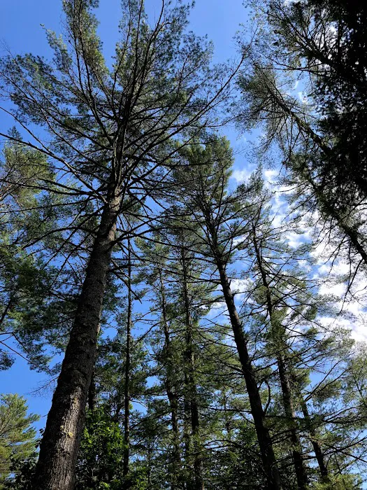 Rancho Pines Campground 3