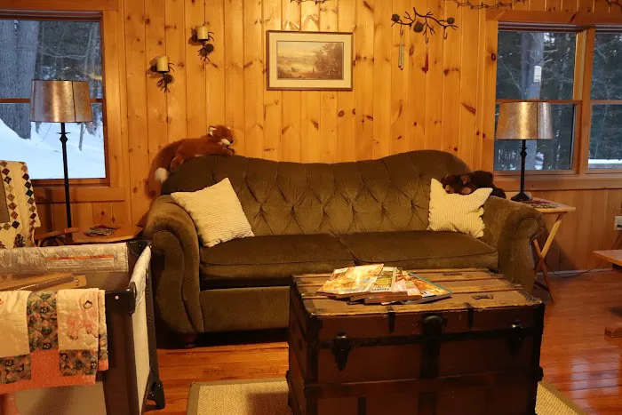 ADKwildernest Log cabin 3