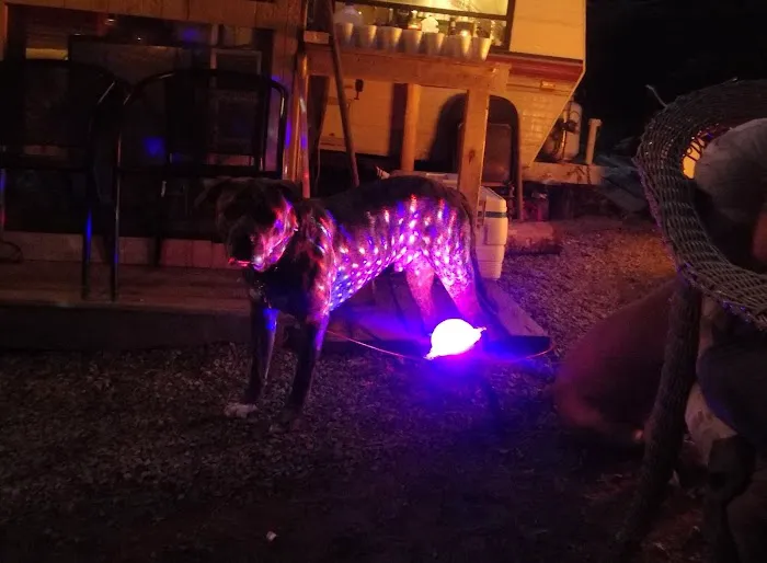 Wilson's Hyde Lake Campsites 2