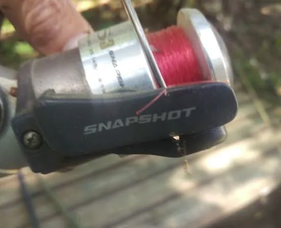 Wilson's Hyde Lake Campsites