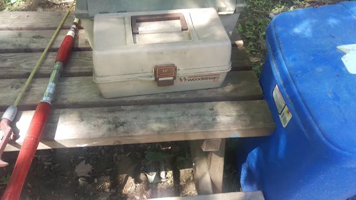 Wilson's Hyde Lake Campsites 8