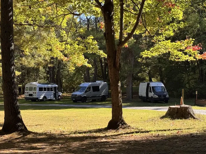 Black River Bay Campgrounds 7