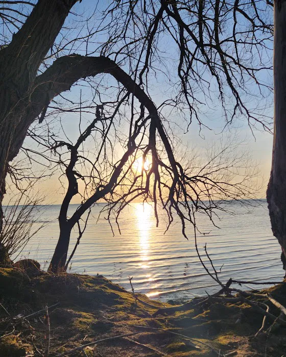 Bedford Creek Marina 1