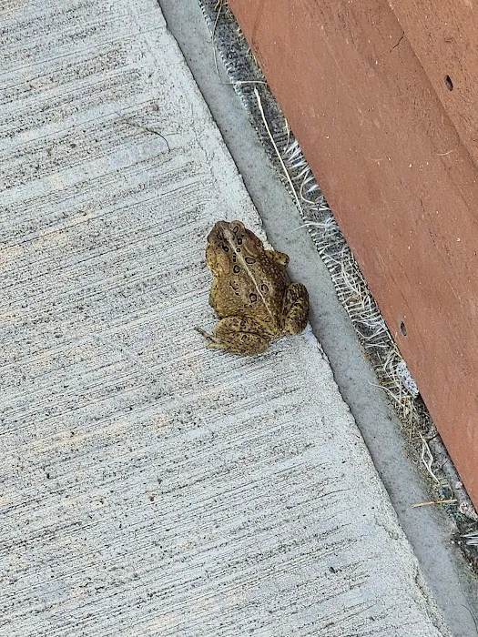 Westcott Beach Plateau Camping 1