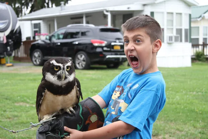 Willows on the Lake Campground 0