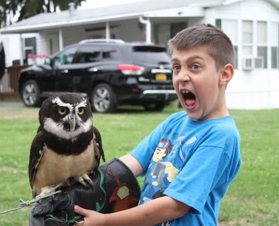 Willows on the Lake Campground