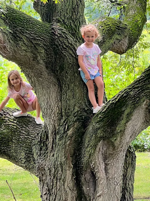 Up the Creek Campgrounds 6