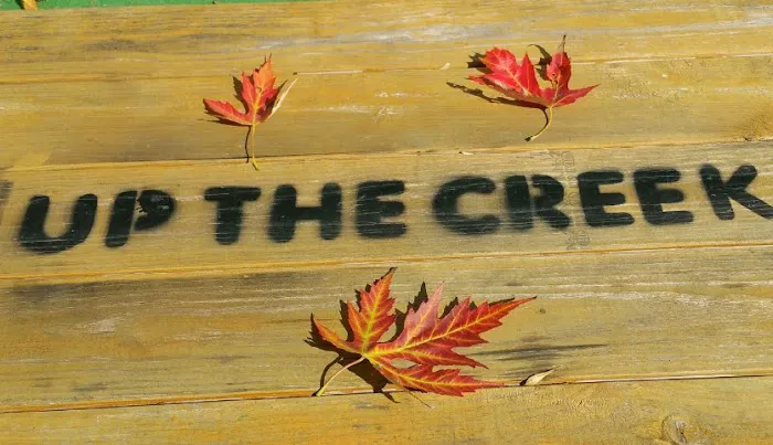 Up the Creek Campgrounds 8