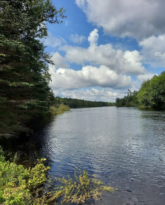 Forked Lake Campground 1