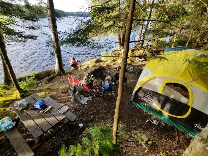 Forked Lake Campground 8