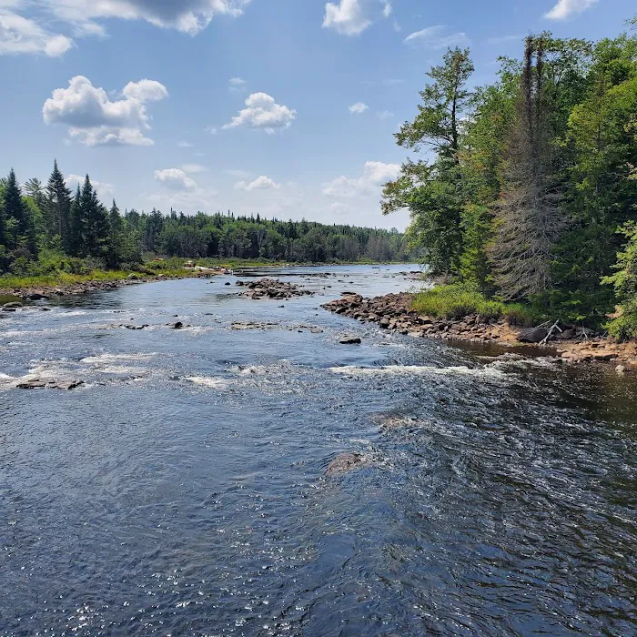 Forked Lake Campground 7