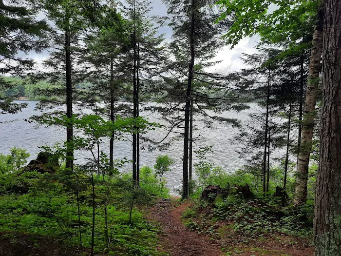 Forked Lake Campground 9