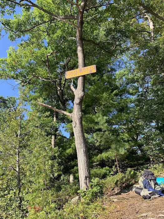 Huckleberry Island Campground 5