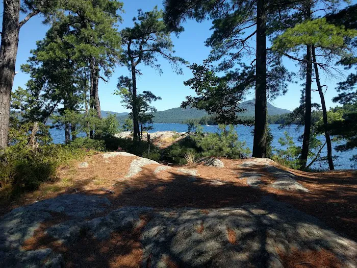Huckleberry Island Campground 4