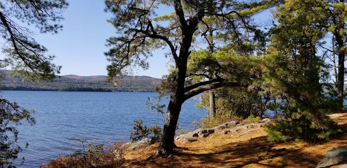 Huckleberry Island Campground 1