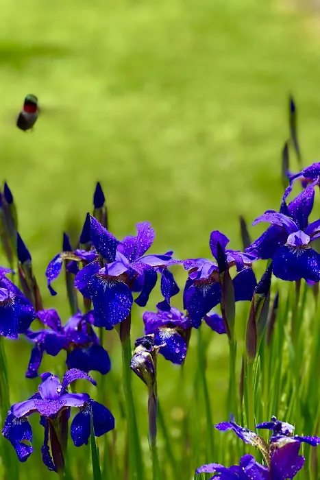 Quechee Pine Valley Campground 0