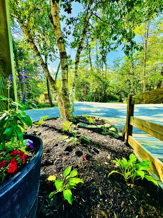 Quechee Pine Valley Campground 8