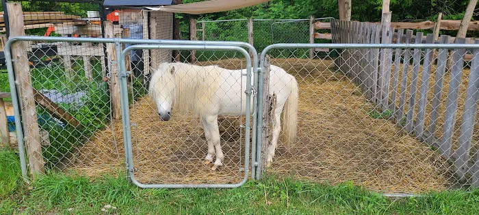 Henderson’s hide-a-way campground 8