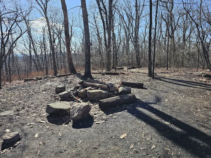 4-Mile Campsite (Appalachian Trail) 5