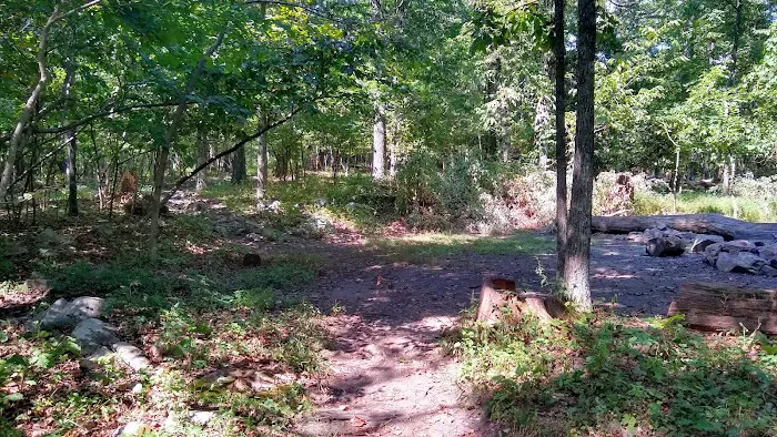 4-Mile Campsite (Appalachian Trail) 3